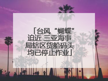 台风“蝴蝶”迫近 三亚海事局辖区货船码头均已停止作业